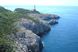 Punta Carena