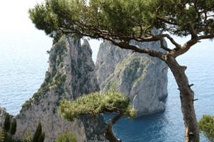 La Certosa di San Giacomo