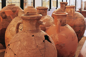 Il Museo di Pithecusae