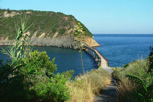 L'isolotto di Vivara